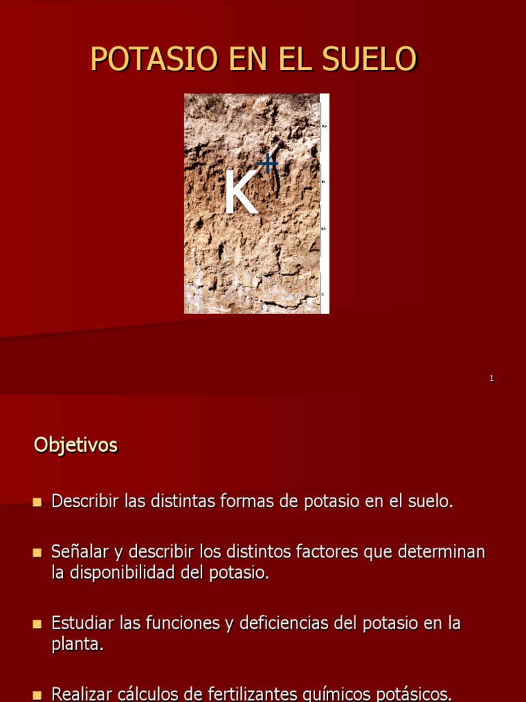 11-Potasio en El Suelo | Descargar gratis PDF | Potasio | Dieta y nutrición