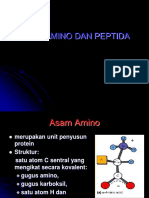 Asam-Amino Peptida4