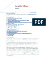 La Problemática Global Del Agua