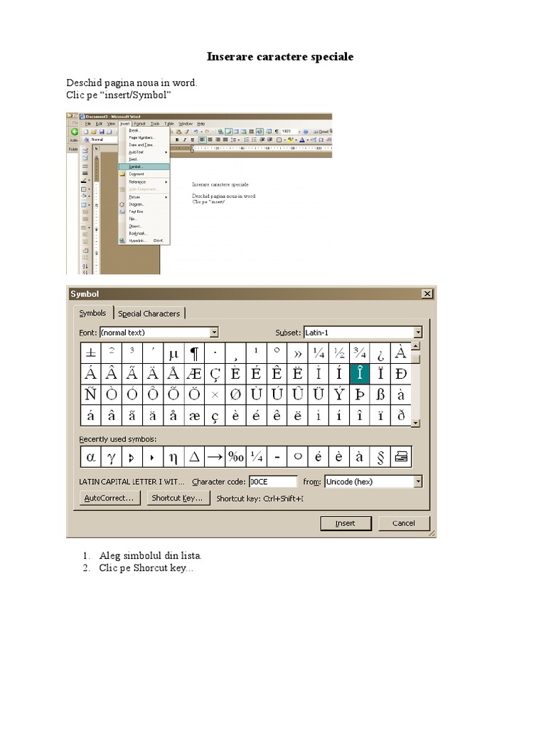Inserare Caractere Speciale | PDF