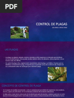 Protocolo de Manejo de Plagas y Roedores y Ficha Tecnica | PDF | Roedor ...