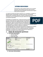 Sistema Endocrino SC