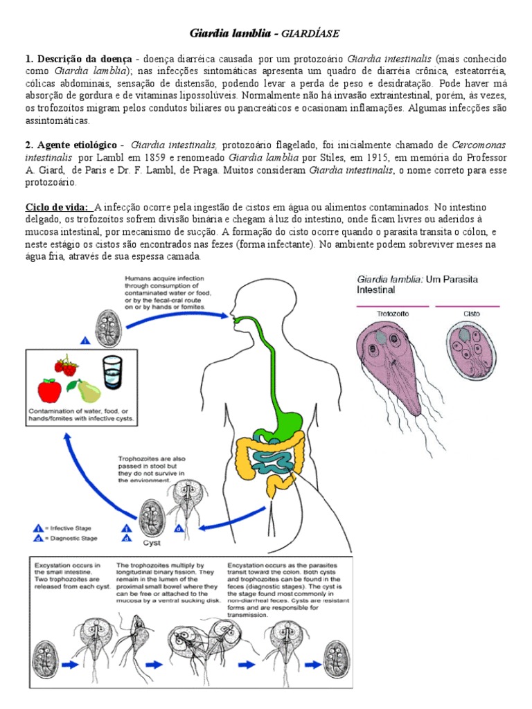 giardia-lamblia-pdf-microbiologia-especialidades-m-dicas