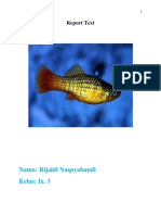 Fish Report: Identification and Description