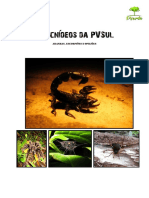 Aranhas.pdf