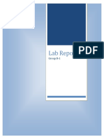 Lab Report: Group B-1