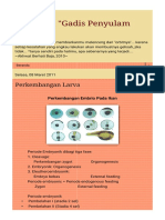 Gambar Perkembangan Larva - HTML