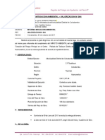 Informe Mitigacion Ambiental