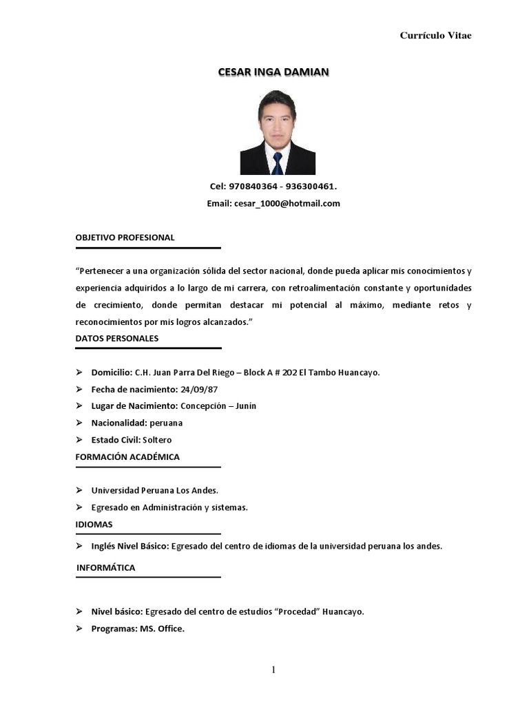 Modelo de Curriculum Vitae | PDF | Plan de estudios | Perú