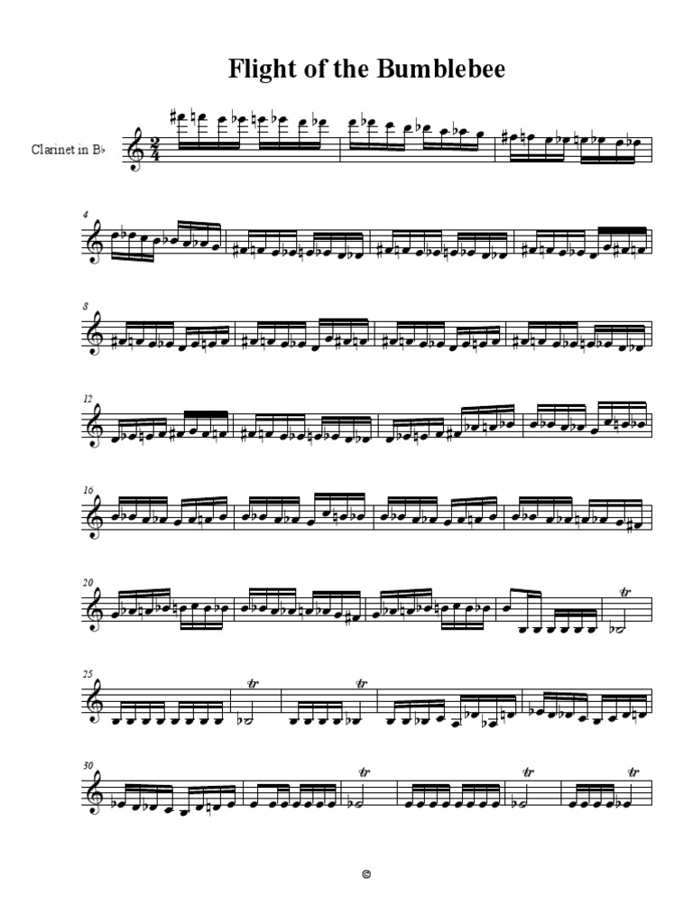 Bumblebee PDF | PDF
