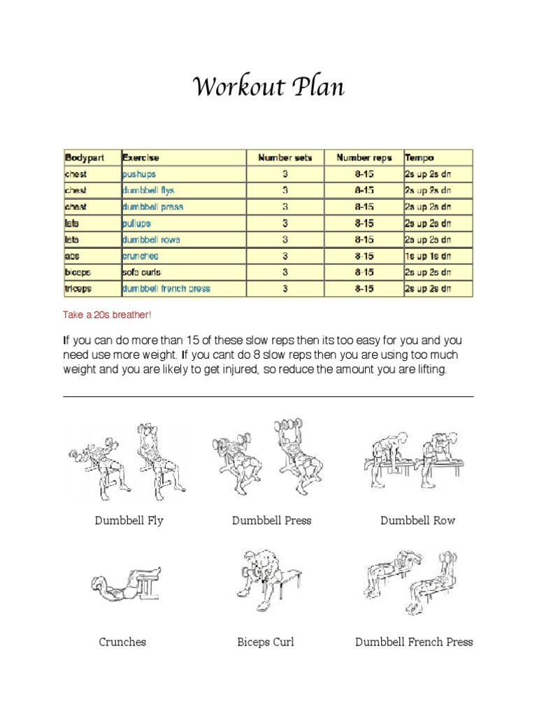 Effective Dumbbell Workout Plan | PDF