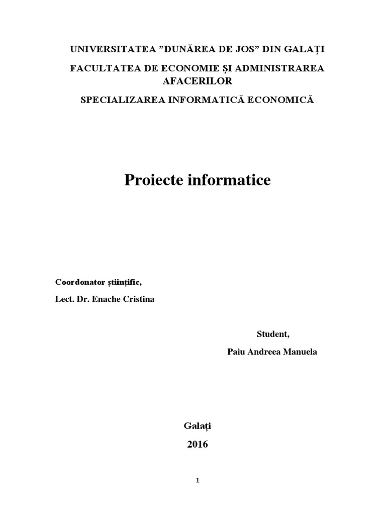 Proiecte Informatice | PDF