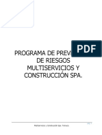 Programa de Prevención de Riesgos Para Multiservicios y Construccion Spa