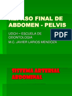 Abdomen y Pelvis Final
