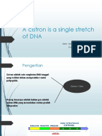 Cistron is a single stretch of DNA