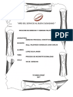 Constitucional Proceso de Inconstitucionalidad