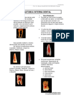 Apostila - Anatomia Interna de Molares PDF