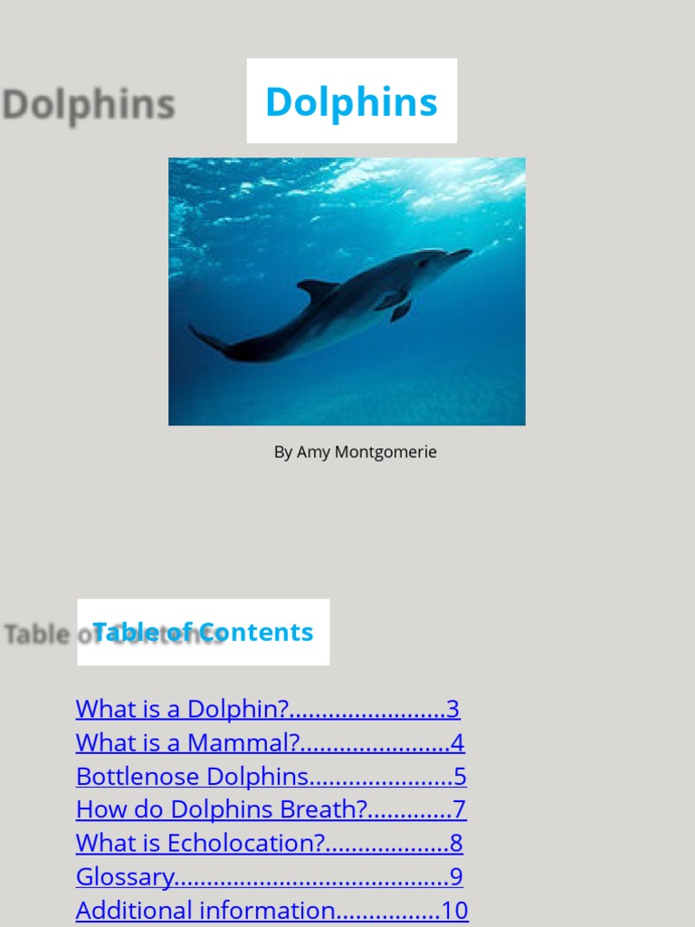 Fun Facts About Dolphins | PDF | Dolphin | Mammals