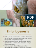 344701429 Perkembangan Embrio Ikan