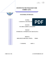 Informe de Conferencia de Carlos Kasuga