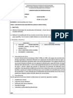 INFORME-MINERALURGIA.docx