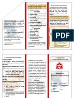 Triptico de Gubernamental Instructivo