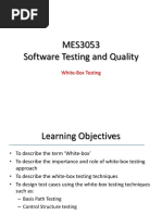 MES3053 Software Testing and Quality