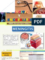 Meningitis y Encefalitis