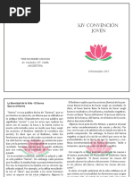 convencion joven.pdf