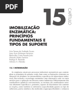 Capítulo Livro Imobilização 2016