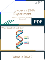 Strawberry Dna Experiment Estefania Selena Cassandra Brandon Nov-14-17