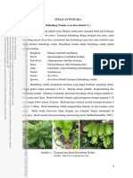 Belimbing Wuluh PDF