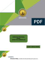 Aspectos Generales Derecho Procesal Penal