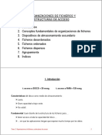 Organizacion de ficheros y estructura acceso.pdf