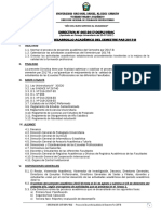 Directiva N° 005-2017 - Desarrollo semestre 2017-B.pdf
