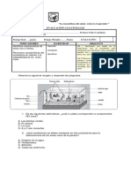 Evaluación Cs Naturales Noviembre