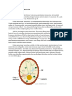 Pencernaan Intraseluler