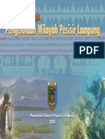 Renstra_Lampung.pdf