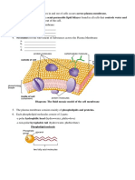 Plasma Membrane Structure and Function