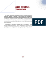 Pueblos Indigenas PDF