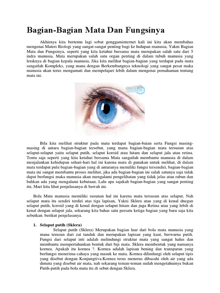 Bagian Mata Dan Fungsinya | PDF