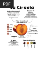 para hacer infografia.docx