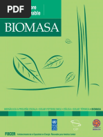 BIOMASA 1
