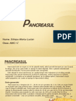 Pancreasul - Proiect anatomie