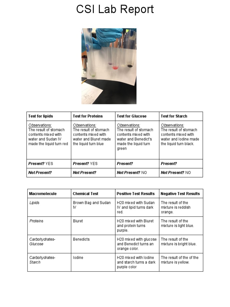 Biol 2104 lab report 1 picture