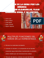 renal.pdf