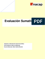 Pauta de Trabajo Evaluacion Sumativa