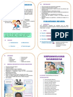 Diptico Enfermedades Diarreicas y Parasitosis