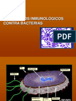 inmunidad componentes