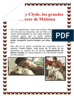 Bonnie y Clyde, Los Grandes Amores de Maluma